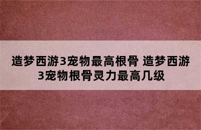 造梦西游3宠物最高根骨 造梦西游3宠物根骨灵力最高几级